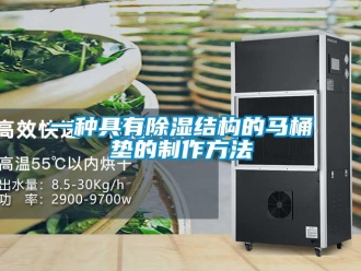 企業(yè)新聞一種具有除濕結(jié)構(gòu)的馬桶墊的制作方法