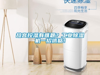 企業(yè)新聞故宮控濕有難題？工業(yè)除濕機一招搞掂！