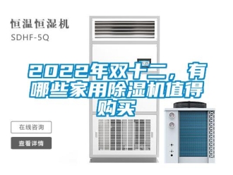 常見問題2022年雙十二，有哪些家用除濕機(jī)值得購買