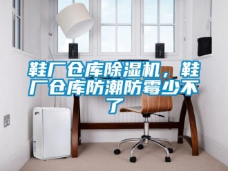 知識百科鞋廠倉庫除濕機(jī)，鞋廠倉庫防潮防霉少不了
