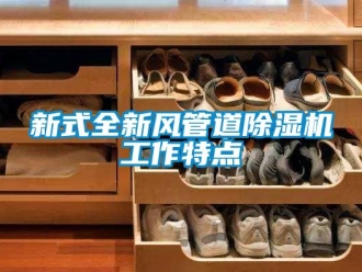 知識百科新式全新風(fēng)管道除濕機(jī)工作特點(diǎn)