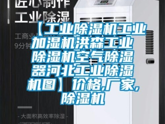 企業(yè)新聞【工業(yè)除濕機工業(yè)加濕機洪森工業(yè)除濕機空氣除濕器河北工業(yè)除濕機圖】價格,廠家,除濕機