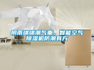 知識百科陰雨綿綿潮氣重，智能空氣除濕機防潮有方