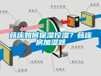 常見問題菇床如何保濕控濕？菇床房加濕器