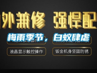 行業(yè)新聞梅雨季節(jié)，白蟻肆虐