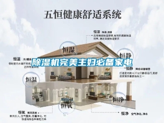 企業(yè)新聞除濕機(jī)完美主婦必備家電
