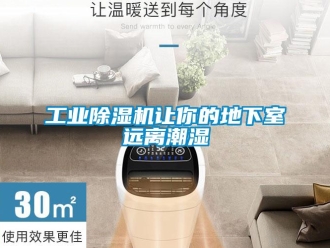 企業(yè)新聞工業(yè)除濕機讓你的地下室遠離潮濕