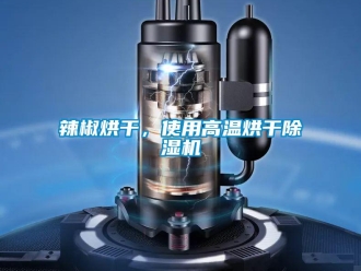 行業(yè)新聞辣椒烘干，使用高溫烘干除濕機(jī)