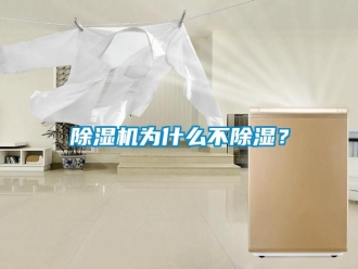 企業(yè)新聞除濕機為什么不除濕？