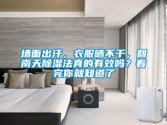 常見問題墻面出汗，衣服曬不干，回南天除濕法真的有效嗎？看完你就知道了