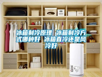 常見問題冰箱制冷原理 冰箱制冷方式哪種好 冰箱直冷還是風冷好