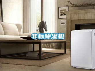 企業(yè)新聞非標(biāo)除濕機(jī)