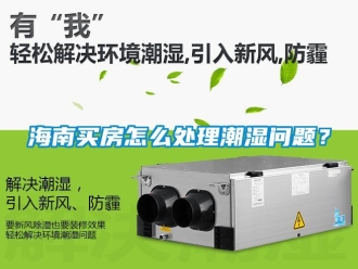 常見問題海南買房怎么處理潮濕問題？