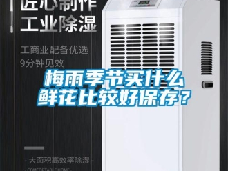 行業(yè)新聞梅雨季節(jié)買(mǎi)什么鮮花比較好保存？