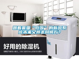 企業(yè)新聞跟著霧霾“吃飯”的新風(fēng)系統(tǒng)未來(lái)又將走向何方？