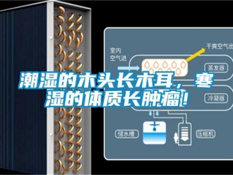 企業(yè)新聞潮濕的木頭長木耳，寒濕的體質(zhì)長腫瘤！