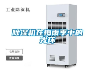 企業(yè)新聞除濕機在梅雨季中的光環(huán)