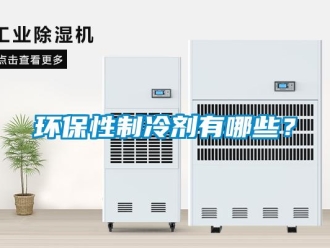 行業(yè)新聞環(huán)保性制冷劑有哪些？