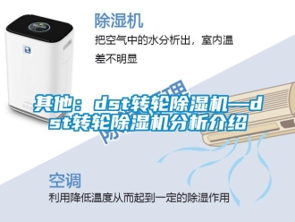 常見問題其他：dst轉(zhuǎn)輪除濕機(jī)—dst轉(zhuǎn)輪除濕機(jī)分析介紹