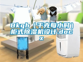 企業(yè)新聞8kgh（千克每小時(shí)）柜式除濕機(jī)設(shè)計(jì).docx