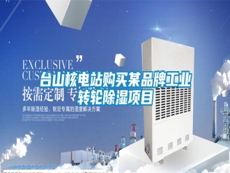 知識(shí)百科臺(tái)山核電站購買某品牌工業(yè)轉(zhuǎn)輪除濕項(xiàng)目