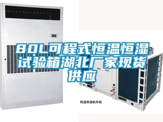 常見問題80L可程式恒溫恒濕試驗箱湖北廠家現(xiàn)貨供應(yīng)