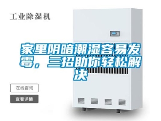 行業(yè)新聞家里陰暗潮濕容易發(fā)霉，三招助你輕松解決