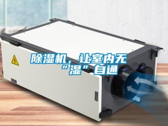 常見問題除濕機(jī)，讓室內(nèi)無“濕”自通