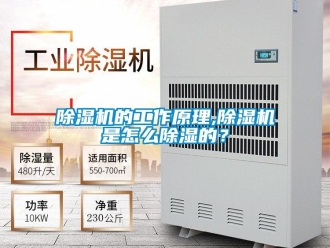 常見問題除濕機的工作原理,除濕機是怎么除濕的？