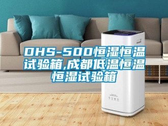 常見問題DHS-500恒濕恒溫試驗(yàn)箱,成都低溫恒溫恒濕試驗(yàn)箱