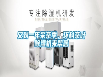 知識百科又到一年采茶季，環(huán)科茶葉除濕機(jī)來幫您