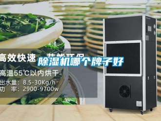 常見問題除濕機哪個牌子好