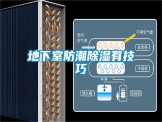 企業(yè)新聞地下室防潮除濕有技巧