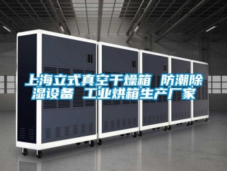 常見問(wèn)題上海立式真空干燥箱 防潮除濕設(shè)備 工業(yè)烘箱生產(chǎn)廠家