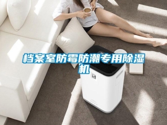 企業(yè)新聞檔案室防霉防潮專用除濕機