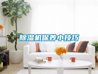 常見問題除濕機(jī)保養(yǎng)小技巧