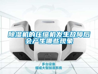 常見問題除濕機的壓縮機發(fā)生故障后會產(chǎn)生哪些現(xiàn)象
