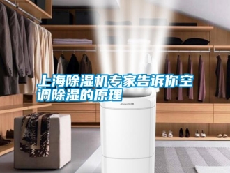 知識(shí)百科上海除濕機(jī)專家告訴你空調(diào)除濕的原理