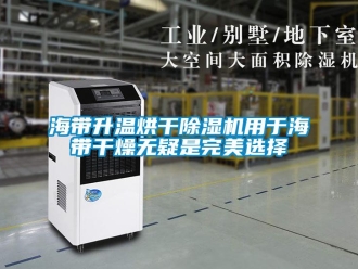 行業(yè)新聞海帶升溫烘干除濕機用于海帶干燥無疑是完美選擇