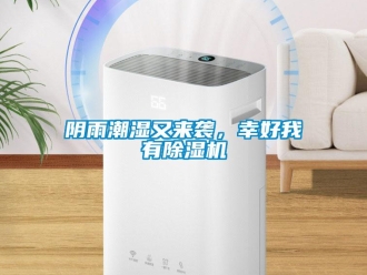 知識百科陰雨潮濕又來襲，幸好我有除濕機