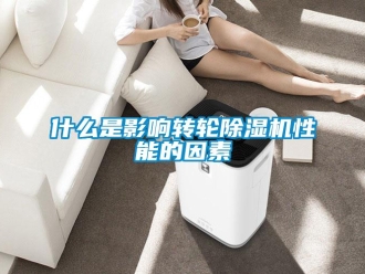 常見問題什么是影響轉(zhuǎn)輪除濕機(jī)性能的因素