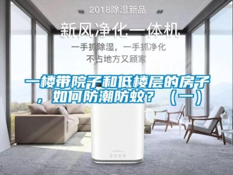 常見問題一樓帶院子和低樓層的房子，如何防潮防蚊？（一）