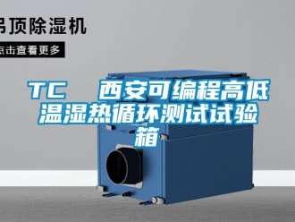 常見問題TC  西安可編程高低溫濕熱循環(huán)測試試驗箱