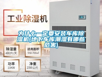 行業(yè)新聞為什么一定要安裝車庫(kù)除濕機(jī)(地下車庫(kù)潮濕有哪些危害)