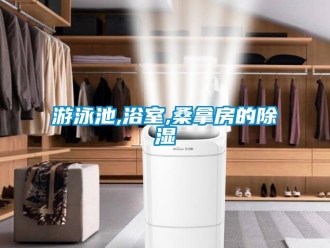 知識百科游泳池,浴室,桑拿房的除濕