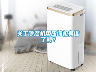 企業(yè)新聞關(guān)于除濕機用壓縮機有誰了解？