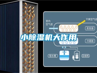知識(shí)百科小除濕機(jī)大作用