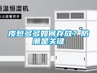 常見問(wèn)題皮包多多如何存放？防潮是關(guān)鍵