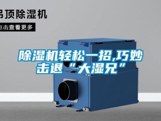 企業(yè)新聞除濕機(jī)輕松一招,巧妙擊退“大濕兄”