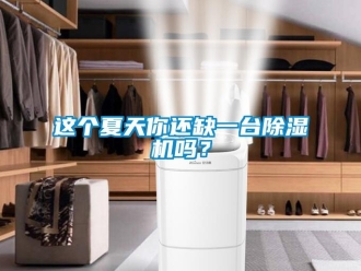 常見問題這個夏天你還缺一臺除濕機嗎？